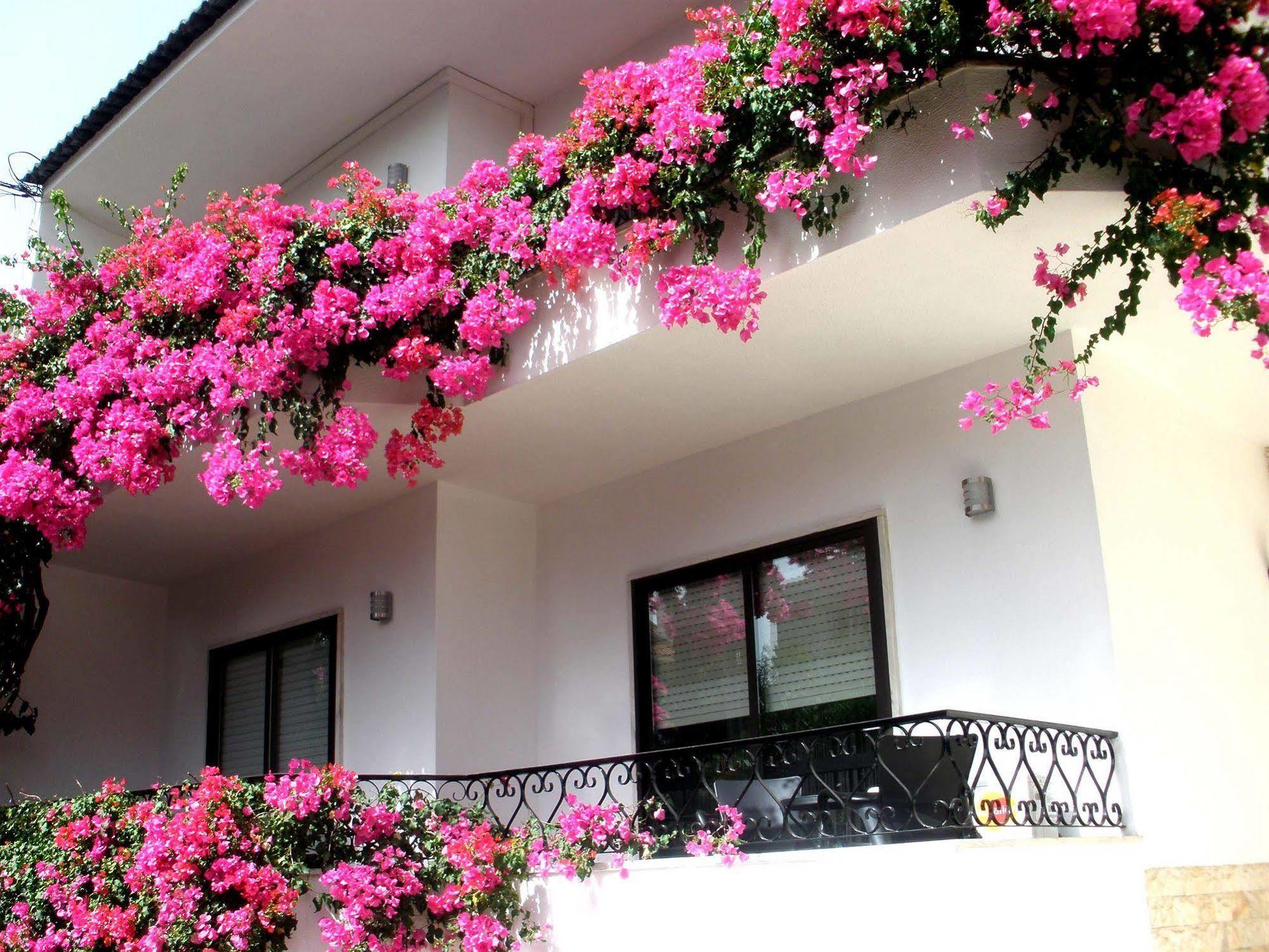 Dolce Cascais Guest House ภายนอก รูปภาพ